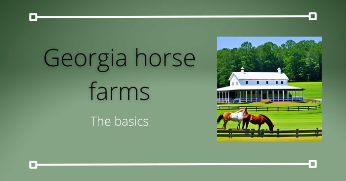The basics of Georgia equestrian life featured image