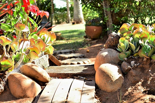 Photo of a garden path with rocks and succulents