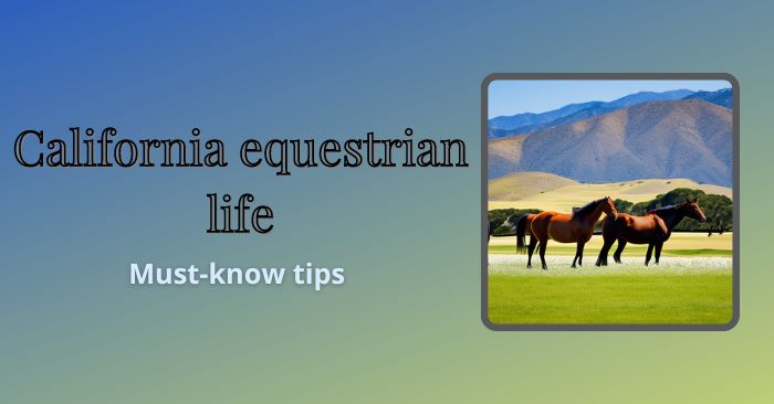 What to know before entering the California equestrian scene featured image