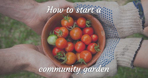 How to start a neighborhood garden