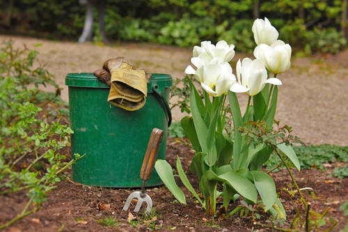 Landscape for beginners: Getting started with designing an outdoor space