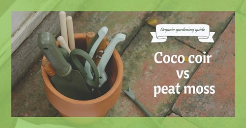 Peat moss: Growing benefits, uses, and comparison to Coco Coir