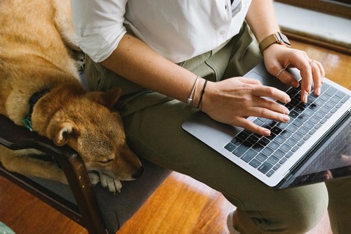 How to Prepare for a Natural Disaster With Pets