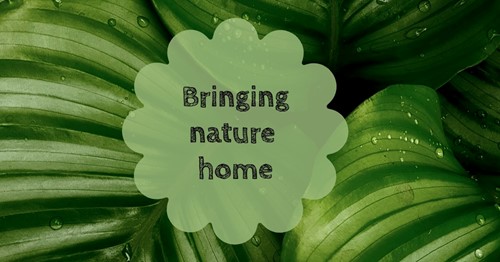 Bring nature home with these quick tricks