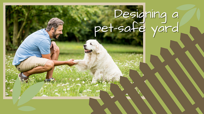 Your guide to designing a pet-safe backyard