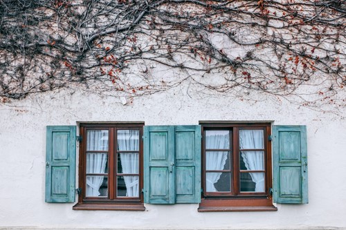A Beginner's Guide to Window Shutter Styles