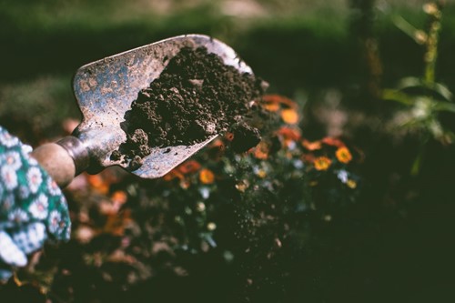 A beginner's guide to building soil