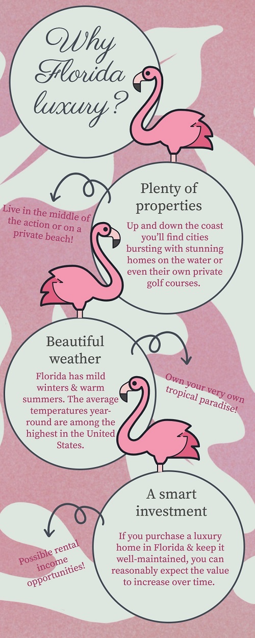 Should you consider a Florida luxury home infographic