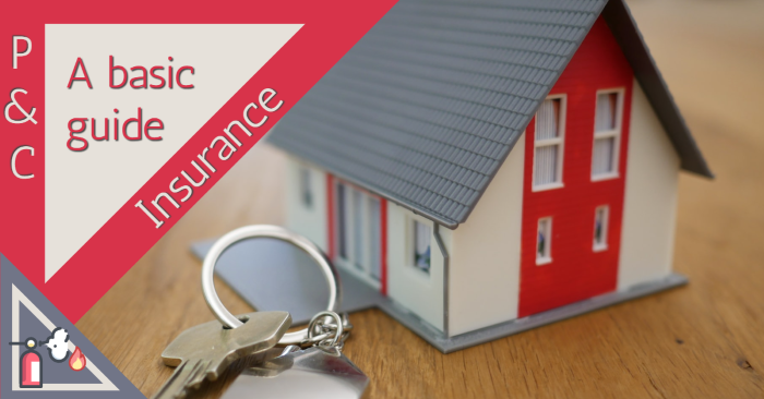 P&C insurance: A beginners guide to property & casualty insurance