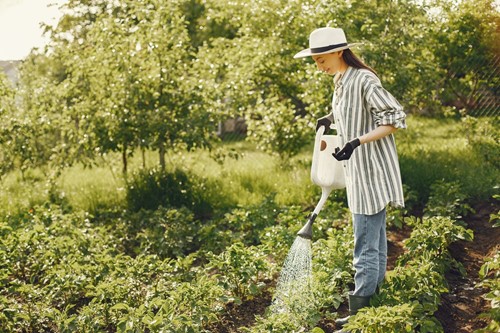 Organic gardening: How to kill weeds naturally