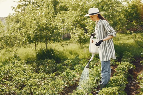 5 Ways to kill weeds naturally