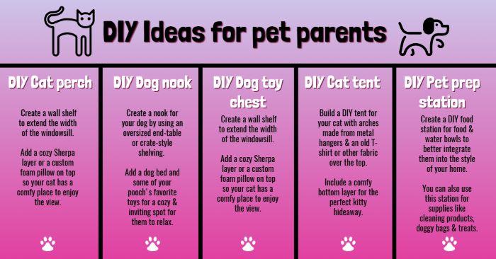 Simple DIYs for dogs & cats infographic