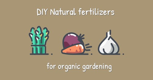 DIY Natural fertilizer for organic gardening