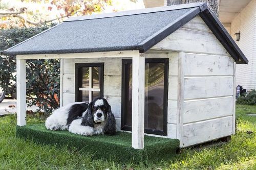 The perfect pet house: Here's what to consider