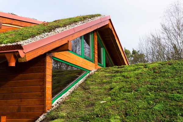 Benefits of Having A Green Roof on Your Home