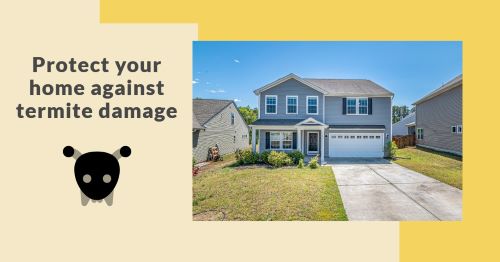 Does your homeowners insurance cover termite damage?