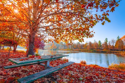 Leaf Peeping 101 - Where to Go on the East Coast for the Best Fall Foliage