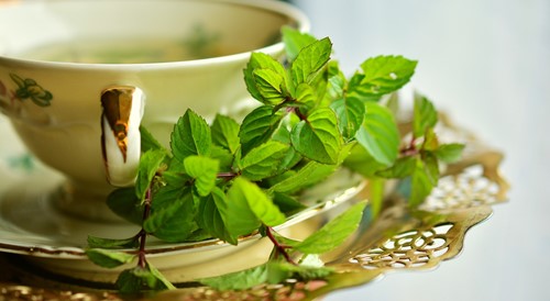 Indoor Herb Garden: A Quick Guide
