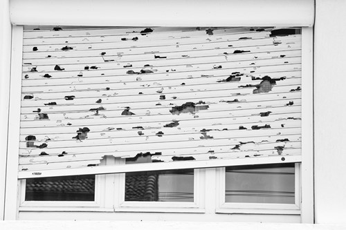 Protecting Your Windows During Hurricane Watches