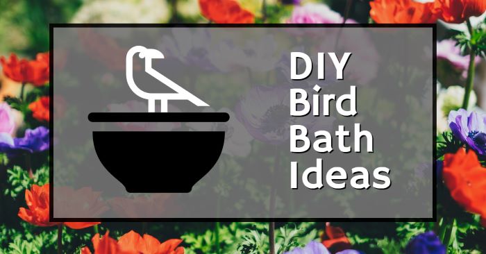 Making your own bird baths & bird feeders: DIY guide