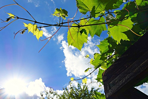 Pergola covers for shade, rain & more