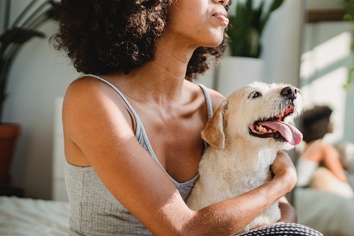 Is there renters insurance for pets? Here's what pet owners should know