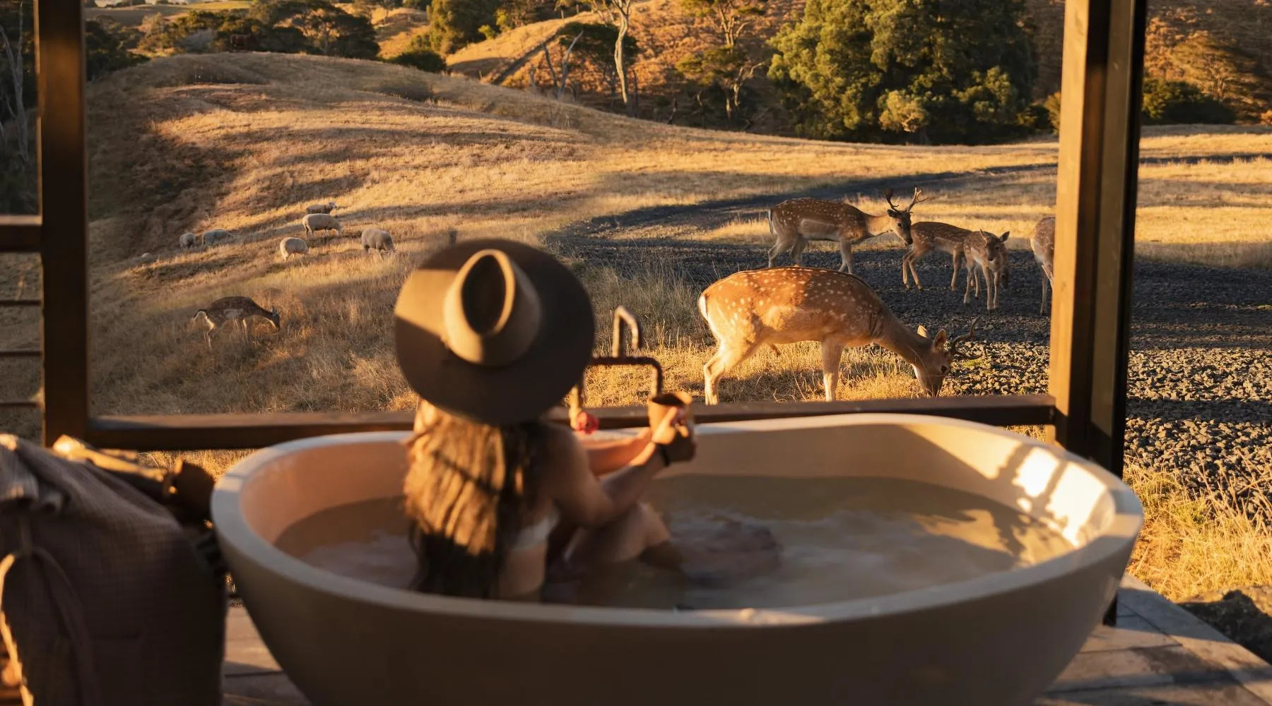 Fallow Lodge Pukekawa Waikato farm stay North Island