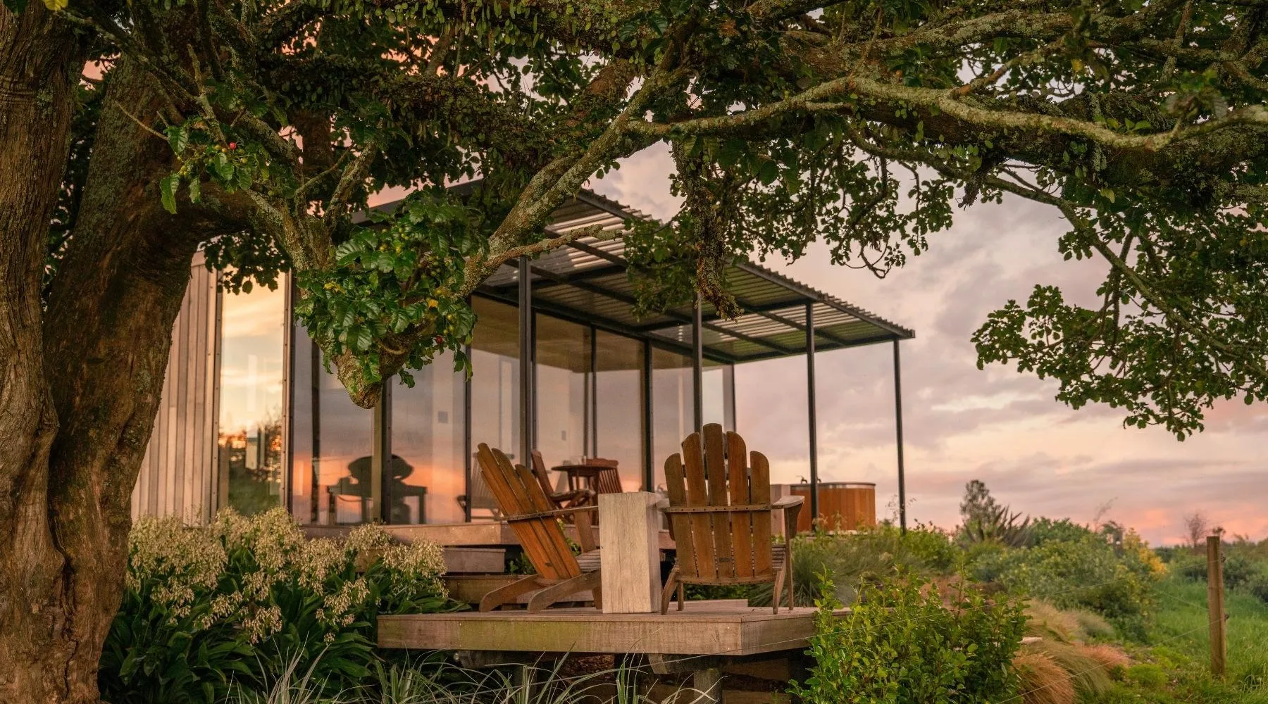 Redwood Farm Puriri Tinyhouse Te Puke Bay of Plenty farm stay North Island
