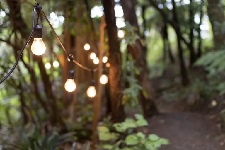 Glowing string lights hang from branches in a dark forest at dusk, creating a warm, magical atmosphere among trees and foliage