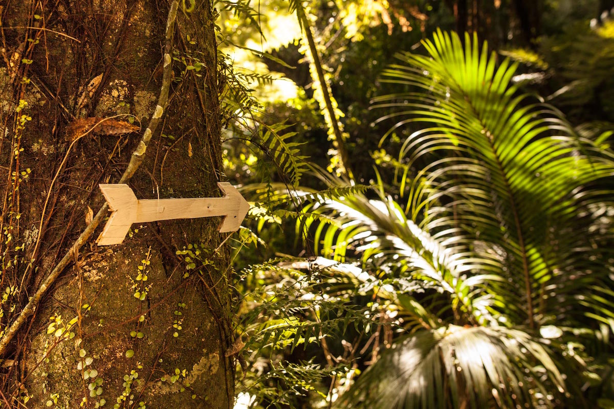 About Canopy Camping Escapes