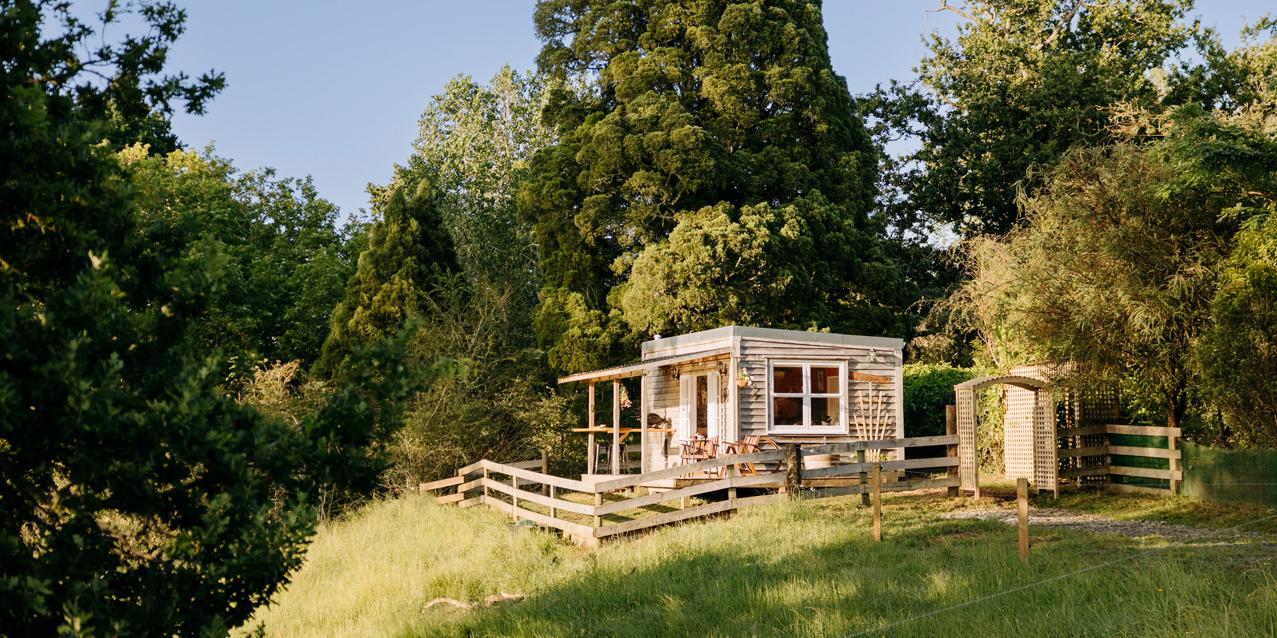 A rustic white glamping cabin with wooden porch nestled among lush green trees and golden grassland under clear blue sky