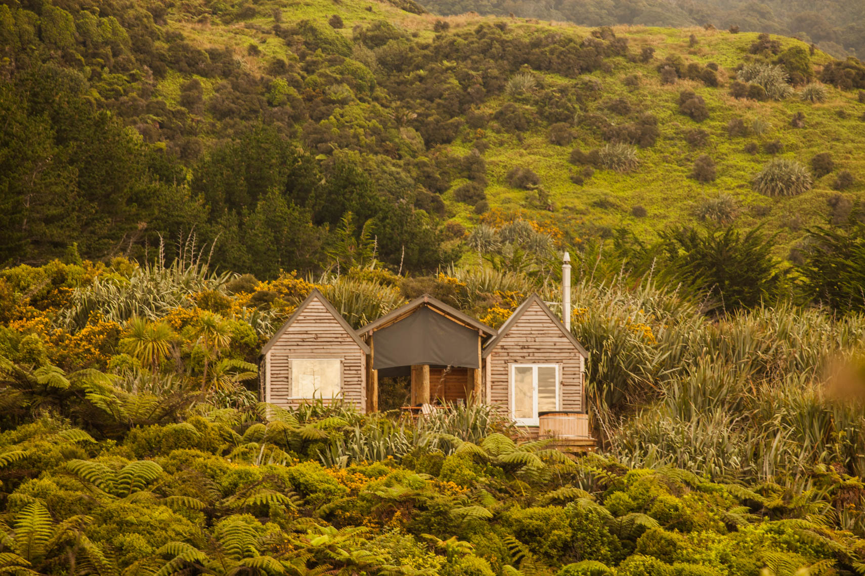 Become a Canopy Host Panel 6