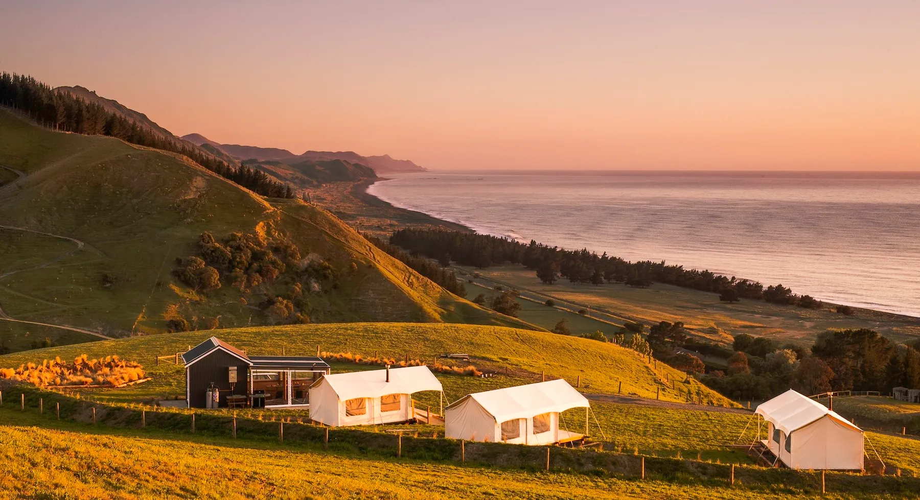Rolling golden hills with evergreen forests descend toward a misty coastline at sunset, featuring glamping tents nestled on the hillside under a warm peachy sky