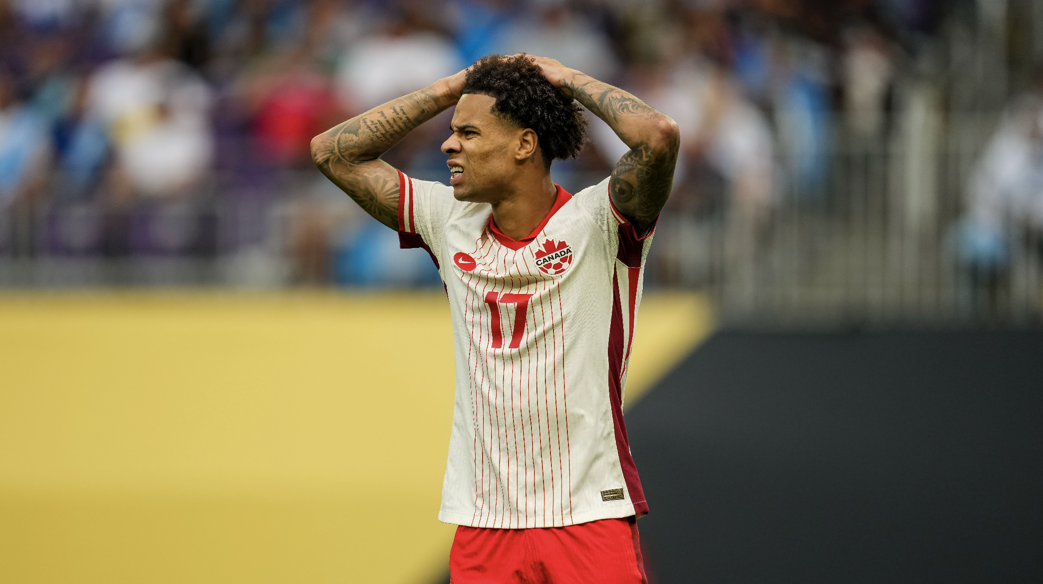 Screenshot 2026 02 11 at 13.13.19