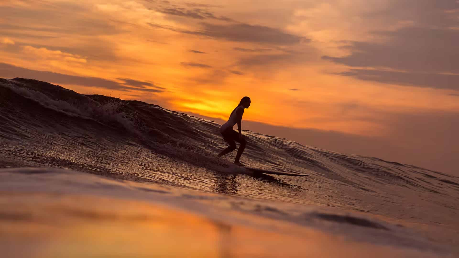 learn to surf 