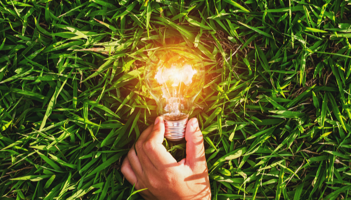 Financial education: The rise of green energy companies