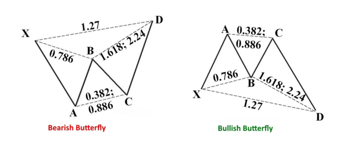 butterfly harmonic pattern