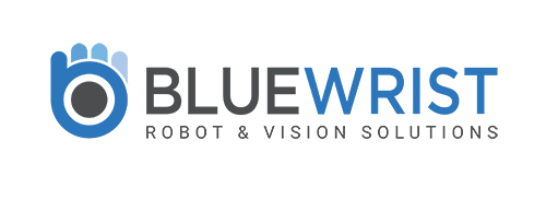 Bluewrist  - logo