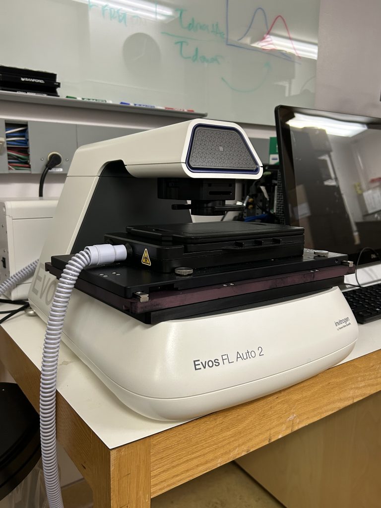 - Specialized Equipment Services