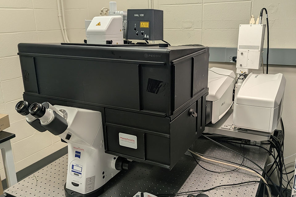 Zeiss LSM980 Airyscan2 and NIR Detector