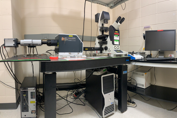 Andor/Leica CSU-W1 Spinning Disk Confocal