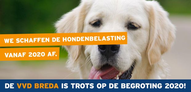 https://breda.vvd.nl/nieuws/37330/de-vvd-breda-is-trots-op-de-begroting-2020
