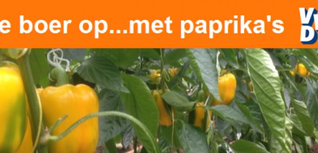 https://brielle.vvd.nl/nieuws/34010/de-boer-op-met-paprika-s