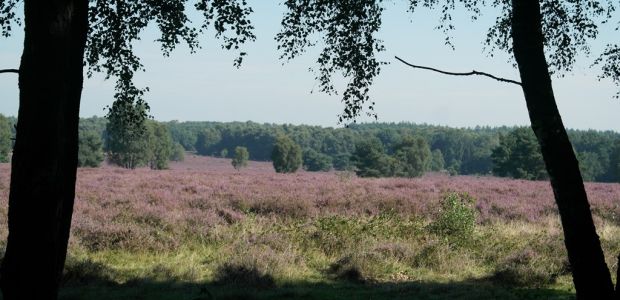 https://dinkelland.vvd.nl/nieuws/50520/schriftelijke-vragen-natura-2000-t-h-v-t-lippert