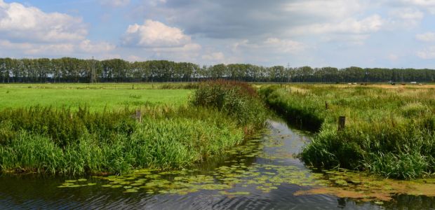 Binnenveld