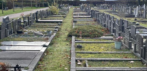 https://emmen.vvd.nl/nieuws/51048/vvd-emmen-wil-onderzoek-naar-status-onderhoud-begraafplaatsen
