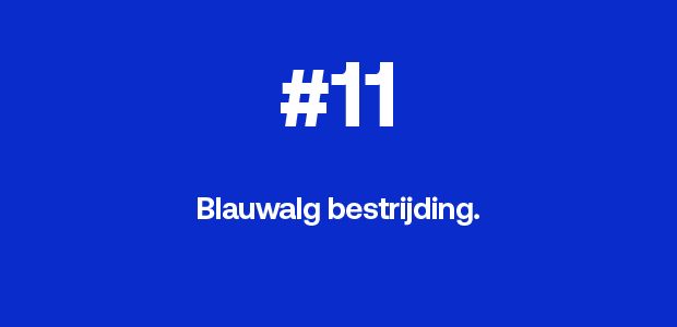 Blauwalgbestrijding.