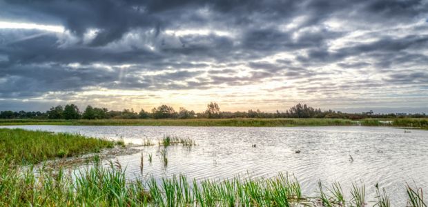 https://hattem.vvd.nl/nieuws/52309/wandel-met-de-vvd-door-de-uiterwaarden