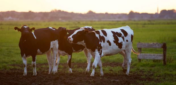 https://hellendoorn.vvd.nl/nieuws/25798/trots-op-de-nederlandse-agrofoodsector