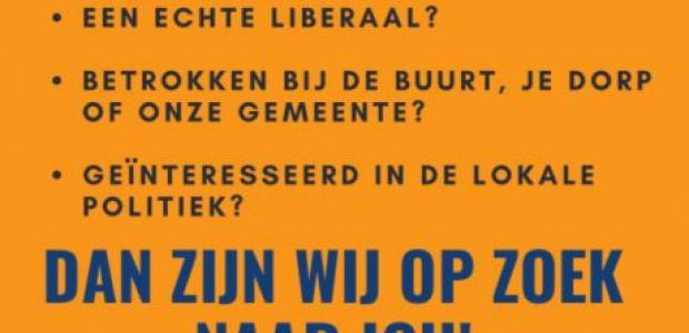 https://loonopzand.vvd.nl/nieuws/40838/wil-jij-lokaal-met-ons-het-verschil-maken